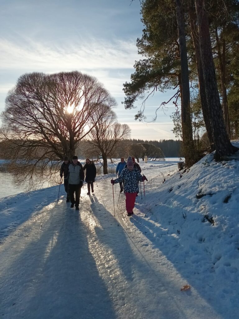 +65 ulkoilijat Mellonlahdella rannalla ulkoilemasssa