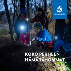 Lapsia ja aikuisia hämärässä metsässä taskulamppujen kanssa tutkimassa ympäristöä.